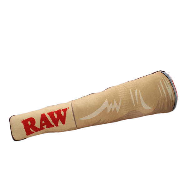 Raw - Cone Pillow